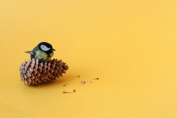 A small bird on a spruce cone on a yellow background, side view-the concept of helping birds in winter