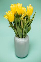 yellow tulips, Tulipa in a ceramic vase with a ribbed finish
