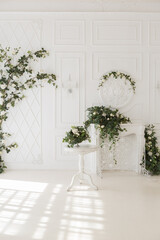 luxury delicate interior of the living room and bedroom in light colors with expensive chic carved furniture in classic style