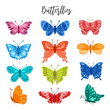 Set of colorful butterflies isolated on white background.