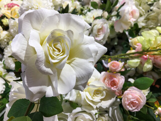 Flowers in a flower shop for sale