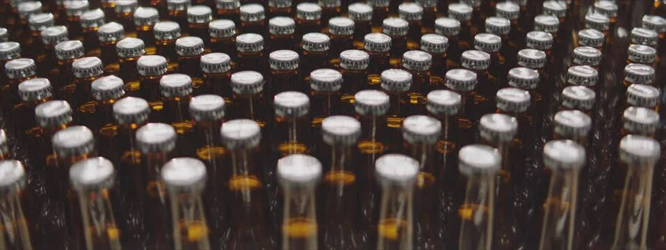 Close-up video of lots of full beer bottles ready to be collected for the next step of distribution. Brewery, factory concept.