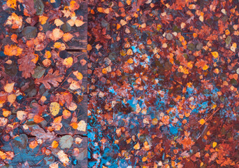 Steg am Waldsee voller Herbstlaub