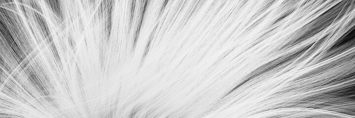 3D rendered abstract white flowing lines