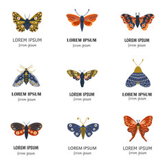 Hand drawn set of butterflies and moths. Colorful collection