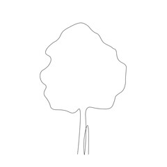 Tree line drawing on white background, vector illustration