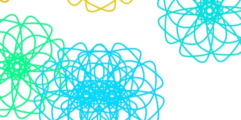 Light Blue, Yellow vector natural backdrop with flowers.