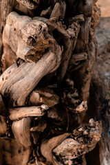 Zbliżenie na pień drewna, konar., naturalne tło, piękna tekstura z wieloma szczegółami. © insomniafoto