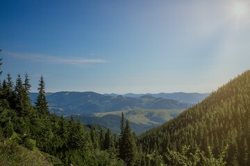 Morning sunny day is in mountain landscape. Carpathian, Ukraine, Europe. Beauty world. Large resolution.