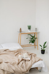 cups with coffee on a tray on a white bed in the bedroom