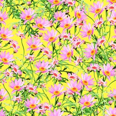 Chamomile flowers seamless pattern.