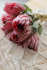 Pink proteas on table. Rustic composition.