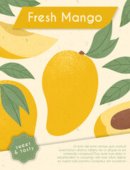 Ripe mangos with leaves. Sweet mango fruits vector hand drawn card design. Mango with leaf.