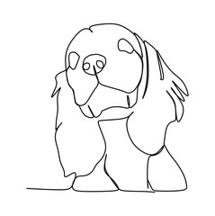 Cavalier King Charles Spaniel dog illustration. Continuous one line drawing