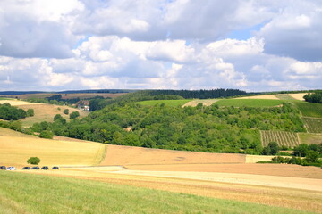 beautiful summer landscape, green field, meadow with mowed grass, hills, bushes, trees, concept parawaiting, paragliding, natural nature, ecology, environmental protection