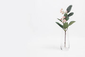 White pot with flowers on a white background
