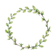 Spring young green branches circle frame. Hand drawn watercolor tree branches wreath. Vintage floral, herbal element for spring, wedding, birthday, greeting design.