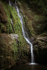 Fototapeta na wymiar waterfall in spanish Asturias, Cascadas de Oneta, natural park, white water