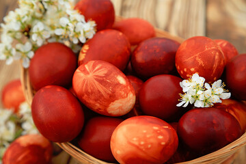 Painted Easter eggs in a wicker basket on a wooden background with blooming sprigs of wild plum