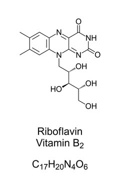Riboflavin, vitamin B2, chemical structure and skeletal formula. A vitamin, found in food, and used as a dietary supplement. It is required by the body for cellular respiration. Illustration. Vector.