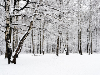 snow-covered meadow in snowy city park on overcast winter day