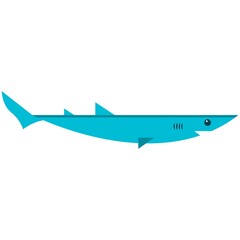 Shark ocean fish flat vector icon isolated on white