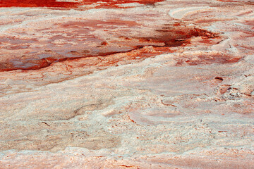 Closeup of salt layers on the shores of a pink salt lake.
