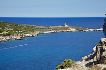 Fototapeta na wymiar view on Caprara island and lighthouse.