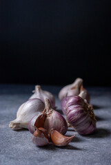 Cloves and bulb of organic natural garlic on dark backround