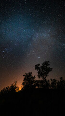 Fototapeta na wymiar Midnight sky with stars over treetops in Morocco