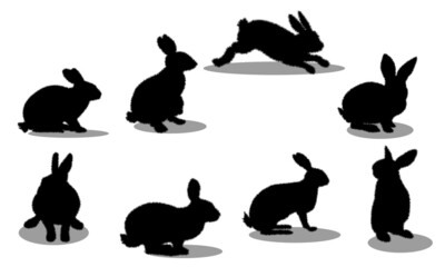 Silhouette of a black rabbit with a white background. Rabbit Set, Isolated On White Background