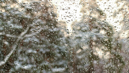 Raindrops on the window pane. Background and texture. Selective focus. 