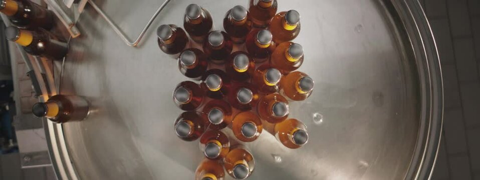 Full beer bottles rotating on a conveyor and being collected by worker in a brewery. Hands with protective blue gloves. Factory, brewery concept.
