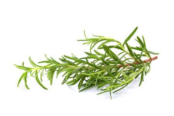 Fototapeta premium Fresh rosemary isolated on a white background.