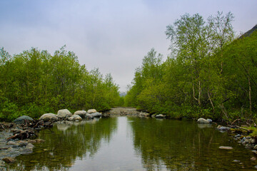 The road in the forest enters the pond. Green trees growing on the shore are reflected in the water. A cloudy summer day in the north.