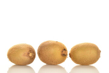 Three fresh organic kiwi fruits, close-up, isolated on white.