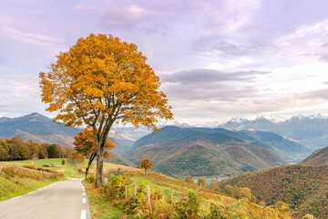 A road with orange autumn trees going to French Pyrenee mountain range, France
