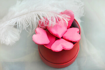 Pink heart-shaped cookies in a red box. Peacock feathers. Pastel colors.