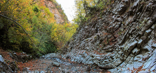 Beautiful autumn forest and rocks.