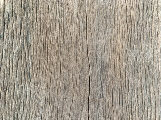 Fototapeta premium wood texture