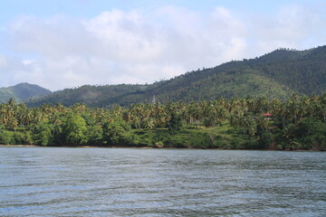 lake and forest