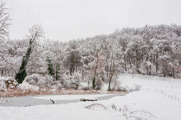 Arlesheim, Ermitage, See, Winter, Schnee, Schneedecke, Schneefall, Seeufer, Schilf, Wanderweg,...