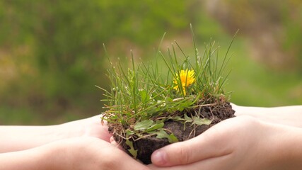 Children's hands hold ground with green grass and flowers. Environmental protection. Saving life on planet earth. Happy children are planting flowers. Concept of happy family and healthy children.