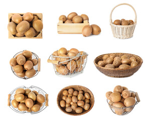 Set with ripe kiwi fruits on white background