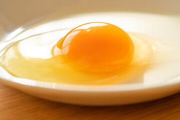Raw egg on a white dish