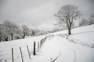 Paysage de campagne en hiver, Loire, région Auvergne-Rhône-Alpes