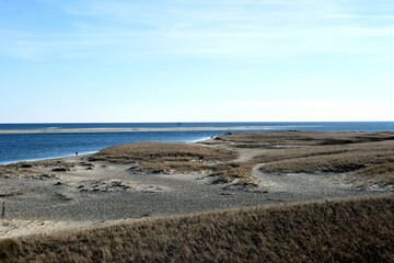 beach and sea