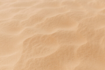 Fototapeta na wymiar Desert landscape, dry grass and yellow sand