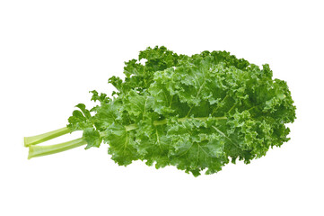 Creative layout made of kale on white background