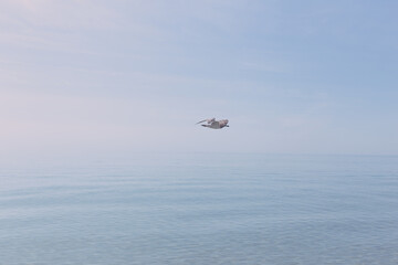 Fototapeta premium Clear and blue sea with a soft horizon